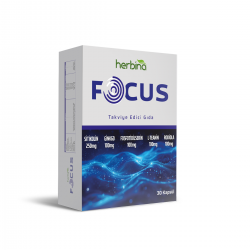 Herbina Focus Sitikolin 30 Kapsül