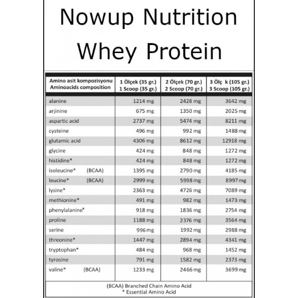 Nowup Nutrition %100 Whey Protein Tozu Çilek ve Çikolata Aromalı - 36 gr. x 30 Adet Saşe 1080gr
